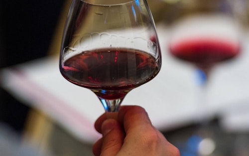 2015 Le Vignoble English Winemakers May28 500